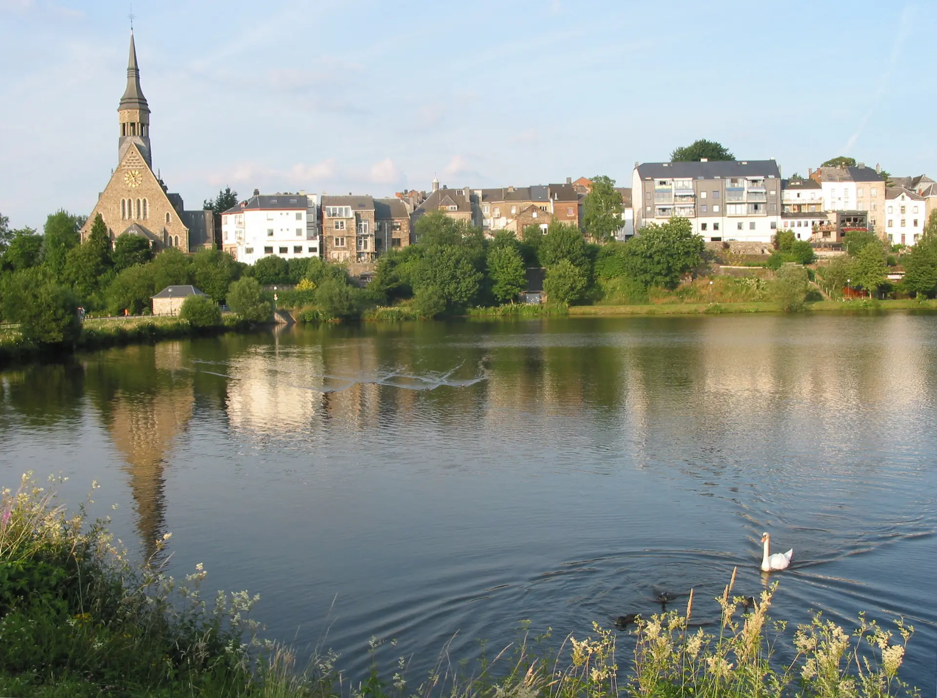 Paysage de Vielsalm en Belgique